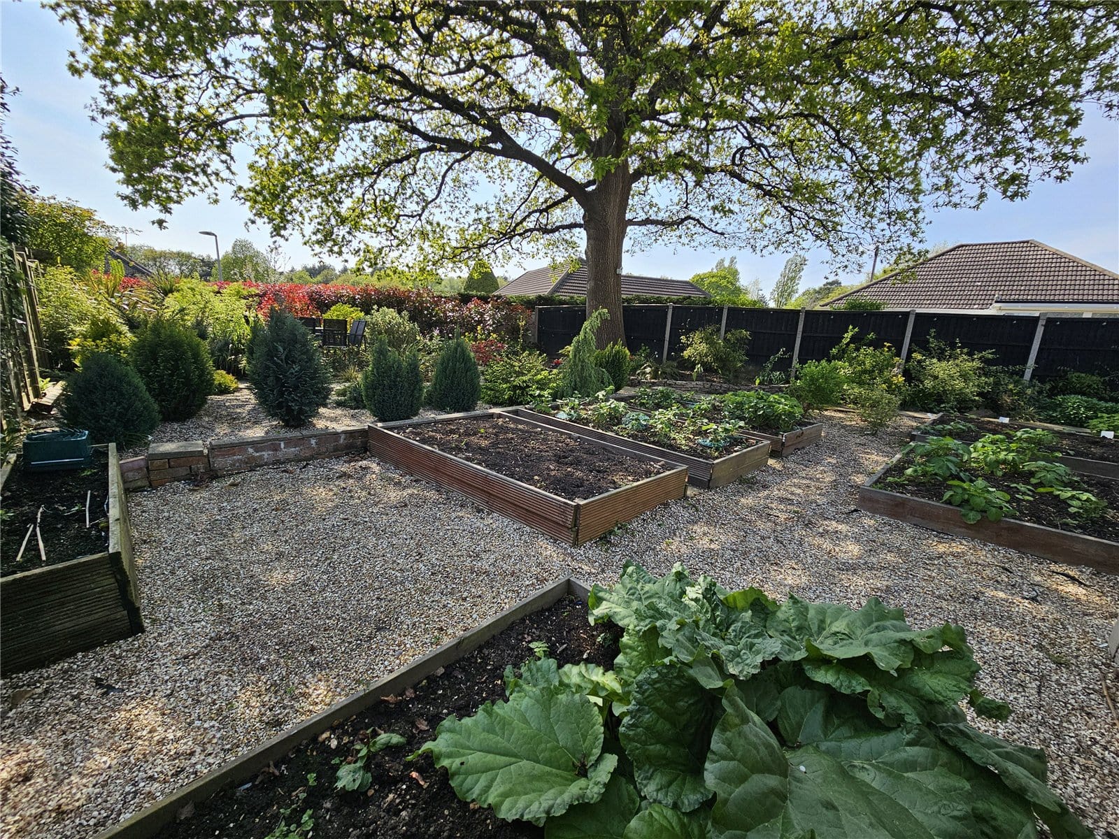 Number 18